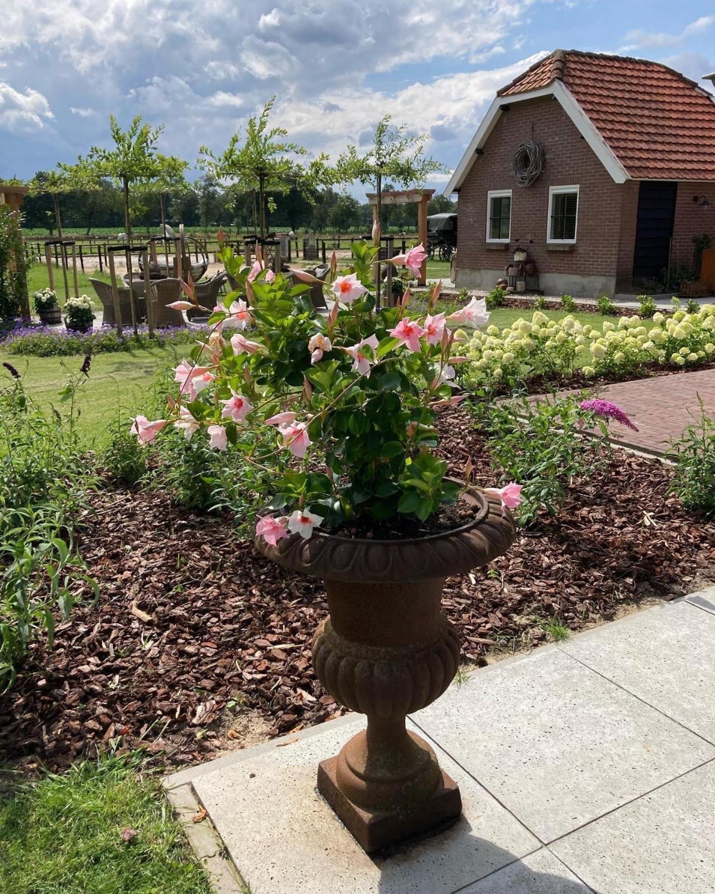 Bed & Breakfast Hoeve Happiness - Ontbijt Inbegrepen - Wellness Aanwezig Voorthuizen Exteriör bild